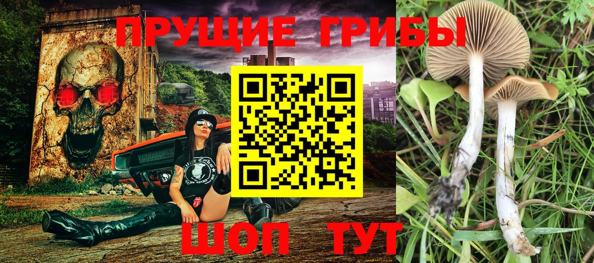Псилоцибиновые грибы Psilocybine cubensis  Вход с VPN  Ростов-на-Дону 